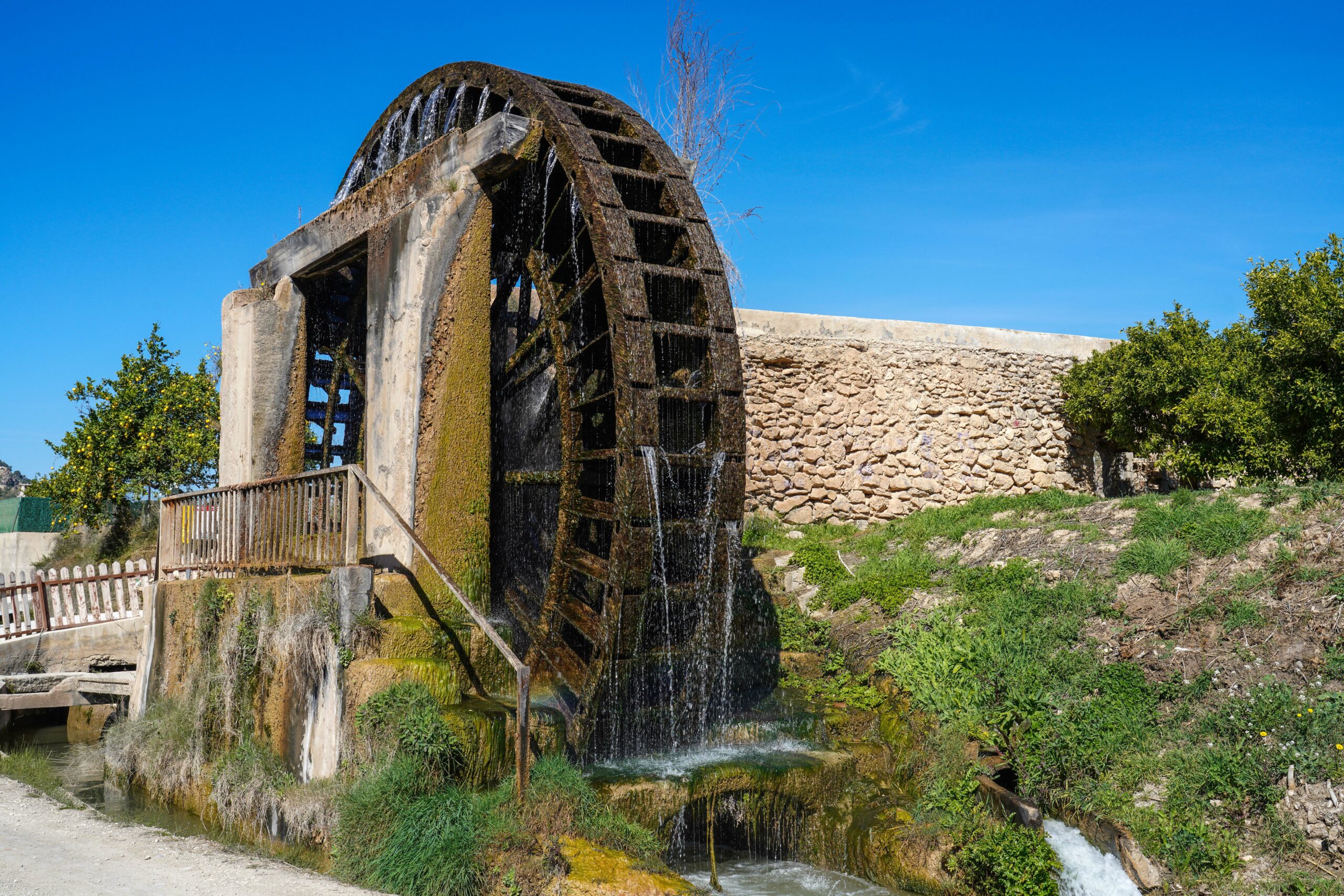 Descubre la Huerta de Murcia en Otoño: Un Recorrido en Coche